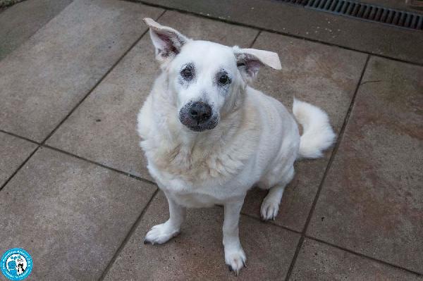 Olaf, Dieci Anni Di Casa. Oggi Solo Un Nome E Tanta Attesa.
